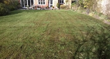 Turf laying begins