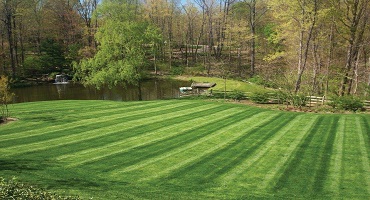 Instant Lawn Laying