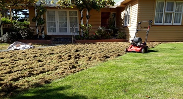 Turf is down